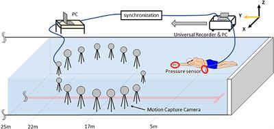 Relationship Between Hand Kinematics, Hand Hydrodynamic Pressure Distribution and Hand Propulsive Force in Sprint Front Crawl Swimming